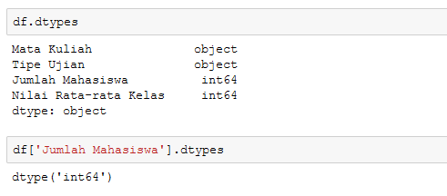 contoh penggunaan dtypes